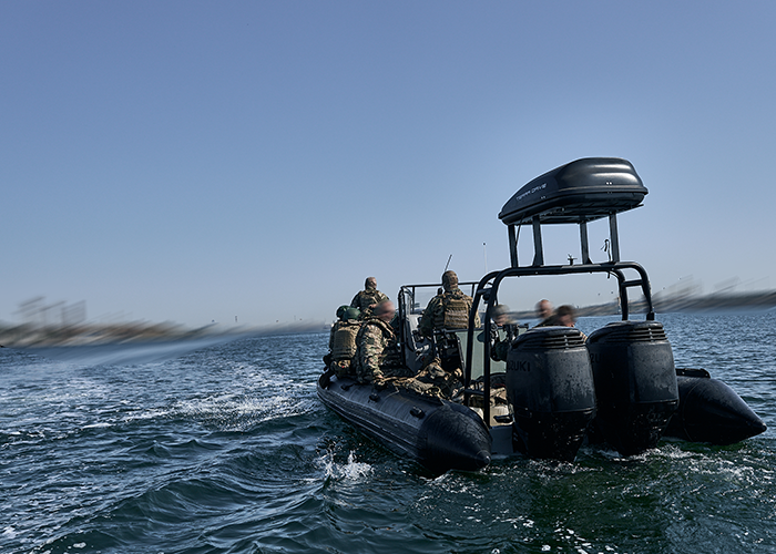 Операції в дельті Дніпра